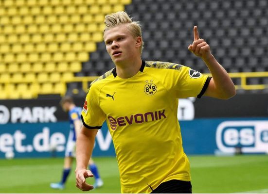 VN应减少 VN应减少